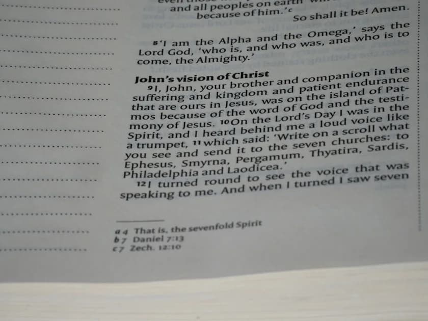 John's vision of christ is written in the bible.